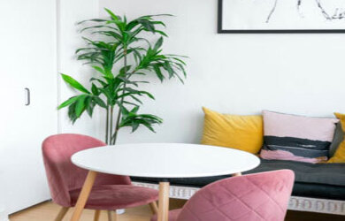 平鎮二手家具推薦 家具污染